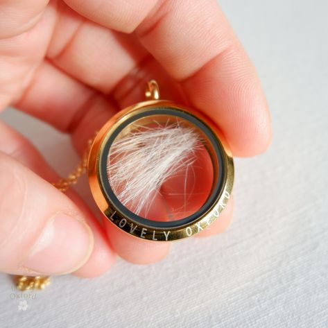 Pet fur memorial locket | Lock of hair personalised keepsake | Pet loss | Horse hair jewellery | Paw print pendant | Dog Cat hair necklace Cat Memorial Jewelry, Paw Print Pendant, Horse Hair Jewelry, Lock Of Hair, Hair Necklace, Hair Jewellery, Suntan Lotion, Memory Locket, Glass Locket