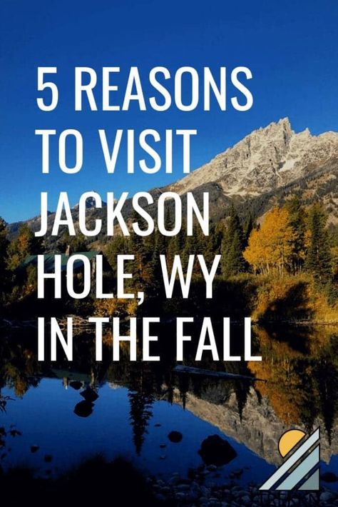 Are you looking for the best time to visit Jackson Hole, Wyoming? After making a trip to this destination in both the summer and the fall, we have the scoop on when to visit and what to do once you're there. #jacksonhole #wyoming #grandtetons #vacation #travel #nationalparks Jacksonhole Wyoming, Wyoming Vacation, Jackson Hole Wy, Yellowstone Trip, Wyoming Travel, Jackson Wyoming, Camping Destinations, Jackson Hole Wyoming, Outdoor Vacation