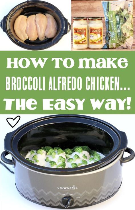 Crockpot Chicken Alfredo Recipes Crockpot Chicken And Broccoli Recipes Healthy, Chicken Alfredo Over Broccoli, Alfredo Sauce Crockpot Recipes, Crockpot Alfredo With Jar Sauce, Chicken Broccoli Alfredo Pasta Crockpot, Crock Pot Chicken Fettuccine Alfredo Easy Recipes, Crockpot Chicken Recipes With Broccoli, Slow Cooker Chicken Alfredo With Jar Sauce, Easy Keto Chicken Crockpot Recipes