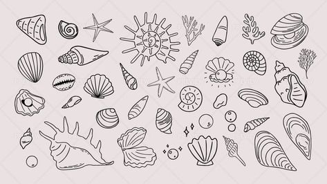 Seaside Doodles, Beachy Doodles, Seashell Drawings, Europe Tattoos, Bulit Journal, Painting Pottery Plates, Seashell Drawing, Hawaii Tattoos, Bullet Journal 2024