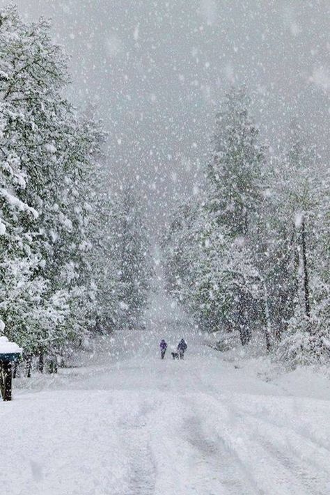 I Love Snow, Winter Schnee, Winter Szenen, Winter's Tale, I Love Winter, Winter Love, Winter Scenery, Winter Magic, Winter Storm