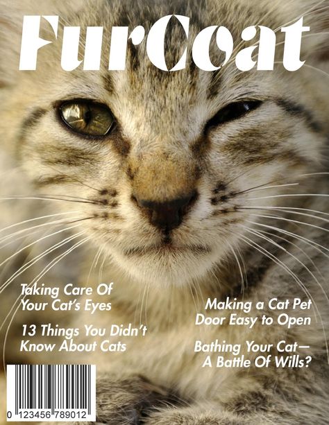 Furcoat magazine design. Furcoat is all about cats. The magazine teaches how to love and take care of these cute little friends. www.vadimages.com Cat Magazine Cover, Friend Magazine, Pet Magazine, Animal Magazines, Cat Magazine, Magazine Front Cover, Flyer Inspiration, Magazine Ideas, Zine Design