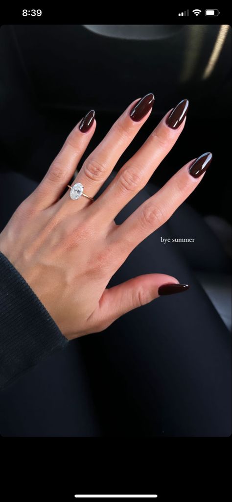 Dark Brown Fall Nails, Fall Nails Dark, Dark Brown Nails, Brown Fall Nails, Fall Nails 2023, Nails Dark, Casual Nails, Brown Fall, Nails 2023