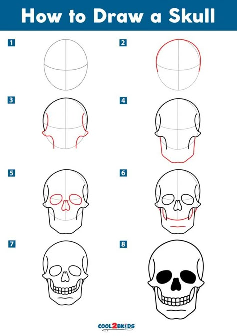 How to Draw a Skull | Cool2bKids Drawings To Practice Drawing, How To Draw A Ribcage Step By Step, Cool Drawing Ideas Step By Step, East Skull Drawings, How To Draw A Human Skull, Skeleton Sketch Tutorial, Anime Skull Drawing, How To Sketch A Skull, Skull Sketch Simple How To Draw