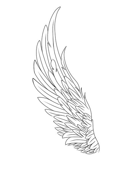 Angel Wing Shapes, Single Angel Wing Tattoo, Angel Wing Tattoo For Men, Wings Outline Tattoo, Wing Outline Tattoo, Angle Wings Draw, Drawing Of Angel Wings, Wing Tattoo Outline, Engel Tattoo Design