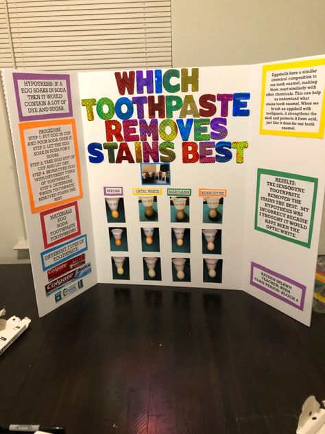 First Grade Science Projects, Science Fair Topics, 6th Grade Science Projects, 4th Grade Science Projects, Winning Science Fair Projects, Middle School Science Fair Projects, High School Science Fair Projects, High School Science Fair, 8th Grade Science Projects