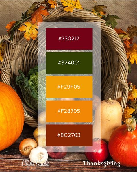 Embrace the warmth of Thanksgiving with a cozy color palette! With shades of pumpkin, cinnamon, and nutmeg bring a festive glow to your holiday decor and designs. Swipe for the perfect hues to inspire your autumn projects! #ThanksgivingVibes #ColorPalette #HolidayInspo #TheCrysteStudio Thanksgiving Color Palette, Cozy Color Palette, Fall Color Pallet, Cozy Colors Palette, Seasonal Color Palette, Autumn Projects, Thanksgiving Color, Pastel Colour Palette, Fall Projects