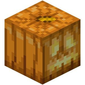 Minecraft Pumpkin, Minecraft Png, Minecraft Pattern, Pumpkin Games, Minecraft Blocks, Minecraft Steve, Lego Minecraft, Minecraft Party, Matthew 6