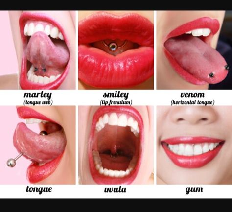 Inner Mouth Piercings, Mouth Piercings, Ear Peircings, Piercing Chart, Face Piercings, Cute Ear Piercings, Cool Piercings, Dermal Piercing, Facial Piercings