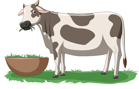 Vector illustration showing cow eating g... | Premium Vector #Freepik #vector #cute-animals #cow-cartoon #animal-clipart #cute-cow Animated Cow, Meat Drawing, Cow Eating, Grazing Cow, Grass Drawing, Cow Cartoon, Cow Vector, Cow Drawing, Cow Photos