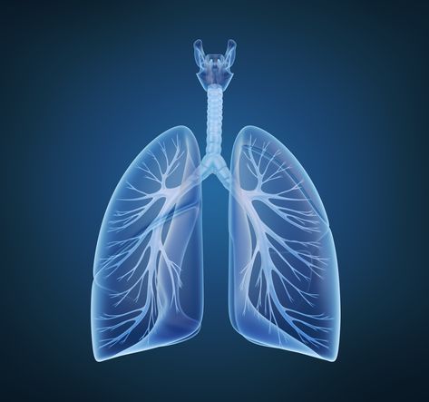 Pleurisy+pathophysiology+and+careplan Tb Disease, Lung Anatomy, Natural Decongestant, Human Lungs, Throat Infection, Nursing Diagnosis, Chronic Cough, Nursing Process, Healthy Lungs