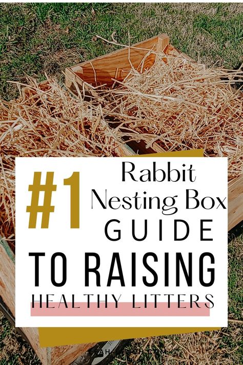 Diy Rabbit Nest Box Ideas, Nesting Boxes For Rabbits, Rabbit Nesting Box Diy, Rabbit Litter Box Ideas, Rabbit Nesting Box, Pregnant Rabbit, Nesting Boxes Diy, Homestead Plans, Make Money Homesteading