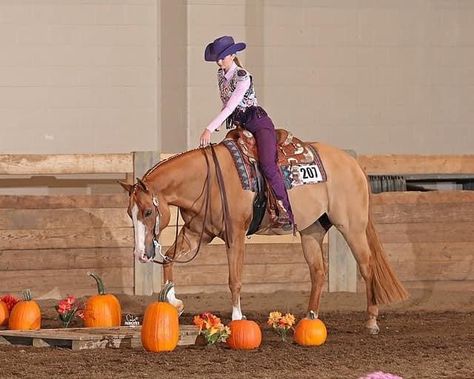 Ranch Horse Show Clothes, Horse Show Aesthetic Western, Aqha Western Pleasure, Western Horse Tack Trail Riding, Western Pleasure Outfit, Western Trail, Western Horsemanship, Aqha Horses, Western Pleasure Horse Photography