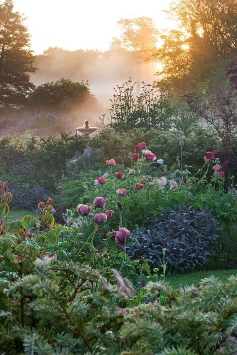 Sloped Yard, Pinterest Garden, Trees And Flowers, Flower Garden Design, The Secret Garden, Beautiful Flowers Garden, Romantic Garden, Ornamental Plants, Flowers Wallpaper