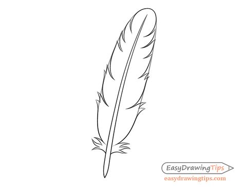 How to Draw a Feather Step by Step - EasyDrawingTips Feather Outline, Drawing Male Hair, Feather Drawing, Eye Expressions, Simple Sketch, Wolf Face, Types Of Eyes, Step By Step Hairstyles, Basic Drawing