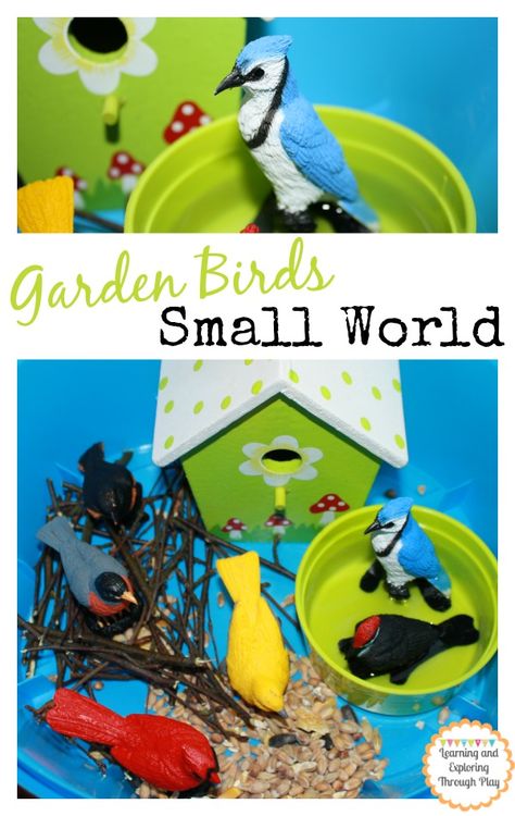 Garden Bird Small World - Learning and Exploring Through Play Birds Topic Eyfs, Bird Activities For Toddlers, Bird Activities, Bird Study, Birds Nests, Pet Theme, Tuff Spot, Play Garden, Winter Birds