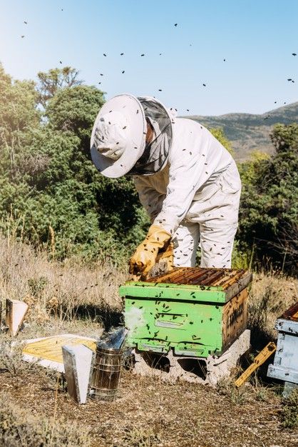 Honey Collecting, Bee Keeper Suit, Bee Hive Kits, Bee Apiary, Beekeeping Suit, Kim House, Honey Extractor, Bee Suit, Bee Photography