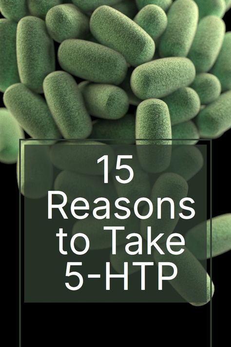 See The Incredible Benefits of Taking 5-HTP 👀 #SupplementBenefits 5htp Benefits, Serotonin Foods, Sleep Benefits Health, Brain Health Supplements, 5 Htp, Summer Health, Plant Nutrients, Natural Antibiotics, Good Health Tips