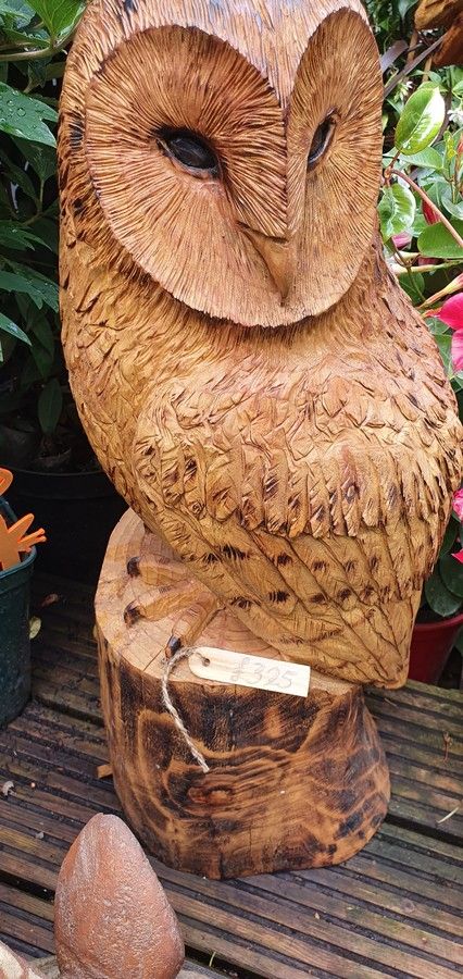 Owls - Spirit of Norfolk Wood Carvings Sculptures Carving Owls In Wood, Owl Sculpture Wood, Carved Owls Wood Sculpture, Chainsaw Carving Patterns, Bird Carving Patterns, Barn Owl Pictures, Owl Pottery, Chainsaw Wood Carving, Beginner Wood Burning