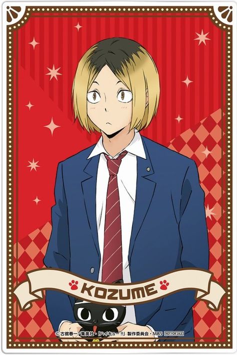 Haikyuu Characters Cards, Haikyuu Kenma, Anime Kitten, Haikyuu Volleyball, Kuroo Tetsurou, Volleyball Anime, Haikyuu Karasuno, Kenma Kozume, 캐릭터 드로잉