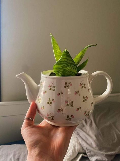 Aesthetic Planter Pots, Plant In Teapot, Cute Teapot Aesthetic, Pretty Plant Pots, Cute Potted Plants, Thrifted Plant Pots, Ceramic Plant Holder, Planters Aesthetic, Plant Pots Aesthetic