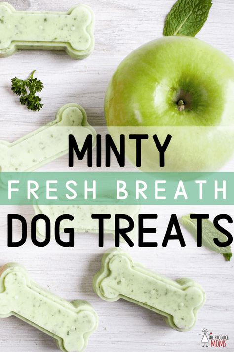 Fresh Breath Dog Treats, Dog Treats Homemade, Pet Treats Recipes, Dog Treats Homemade Easy, Easy Dog Treat Recipes, Frozen Dog Treats, Dog Biscuit Recipes, Easy Dog Treats, Healthy Dog Treats Homemade