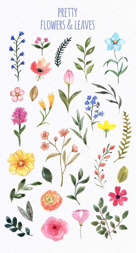 Watercolor Wildflowers, Flowers Summer, Floral Clipart, Botanical Flowers, Pretty Flowers, Watercolor Flowers, Clip Art, Flowers, Floral