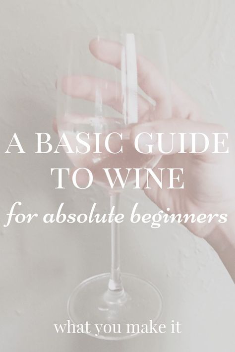 a basic guide to wine for absolute beginners - What You Make It Wine 101, Wine Recommendations, Wine Knowledge, Wine Subscription, Wine Magazine, Wine Tasting Experience, Wine Expert, Wine Preserver, Wine Tasting Party