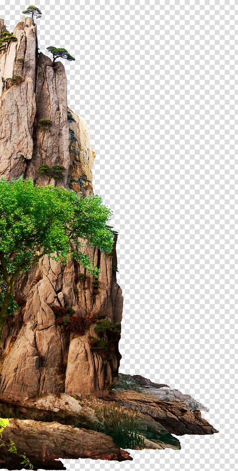 Tree Photoshop, 3d Computer Graphics, Photoshop Backgrounds Backdrops, Photoshop Backgrounds Free, Blue Background Images, Image 3d, New Background Images, Green Screen Video Backgrounds, Background Images For Quotes