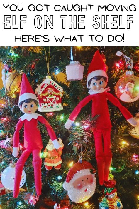 You’ve been had. Your kid caught you moving Elf on the Shelf and now you’re wondering how to save the magic. Read on for some clever responses for when you are caught touching Elf on the Shelf! Permission To Touch Elf On The Shelf, Someone Touched Elf On The Shelf, Ideas For When Kids Touch The Elf, Elf On The Shelf After Being Touched, Elf When Kids Are Bad, Clever Elf On The Shelf Ideas, Wlf On The Shelf, Elf Magic, Clean Your Room