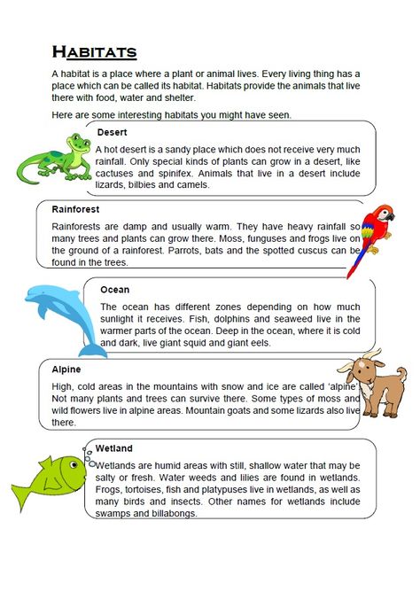 Animal Habitat Activities, Teaching Habitats, Animal Habitats Preschool, Science Diagram, Animals Habitat, Habitat Activities, Habitats Projects, Punctuation Worksheets, First Grade Reading Comprehension