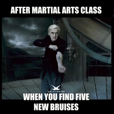 Martial Art Quotes, Martial Arts Memes Funny, Taekwondo Memes Funny, Karate Meme, Taekwondo Funny, Martial Arts Aesthetic, Taekwondo Aesthetic, Karate Aesthetic, Jiu Jitsu Humor