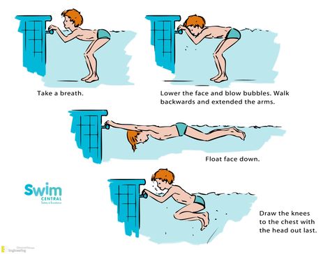 Swimming Basics, Teaching Swimming, Swimming Lesson Plans, Swimming Technique, Swimming For Beginners, Swimming Games, Tiger Sharks, Swimming Motivation, Swimming Strokes