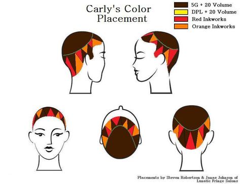 Carly's Color Hair Color Placement Diagram, Vidal Sassoon Hair Color, Pinwheel Hair Color, Hair Color Placement, Hairdressing Training, Girly Frame, Creative Hair Color, Hair Color Formulas, Hair School