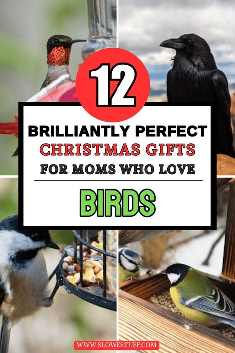 Images of birds with heading that reads 12 christmas gifts for moms who love birds with website www.slowestuff.com listed Christmas Gifts For Moms, Bird Watching Gifts, Gifts For Moms, Christmas Gifts For Coworkers, Christmas Gifts For Husband, Christmas Gifts For Wife, Christmas Gift List, Christmas Bird, Bird Gifts