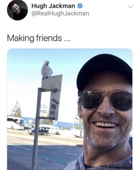 Hugh Jackman Funny, Funny Jump, X Men Funny, Wolverine Hugh Jackman, Deadpool Wolverine, Fresh Memes, The Funny, Hugh Jackman, I Have No Friends