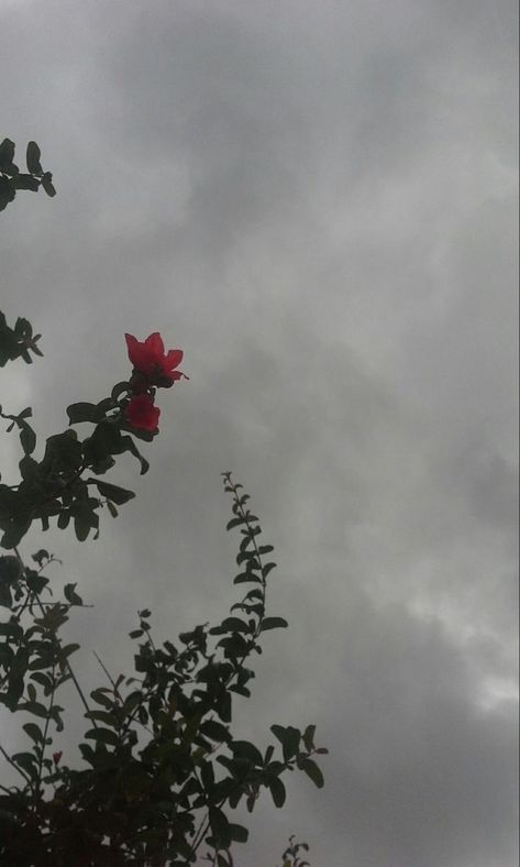 Rainy Sky, Nature Story, Rainy Day Aesthetic, Cloudy Weather, Sky Photography Nature, Sky Pictures, Rainbow Aesthetic, Best Poses For Pictures, Instagram Ideas Photography