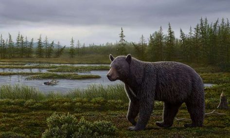 Primitive Bear, Wildlife Artwork, Prehistoric World, Archaeology News, Nature Museum, Boreal Forest, Paleo Art, Extinct Animals, Prehistoric Creatures