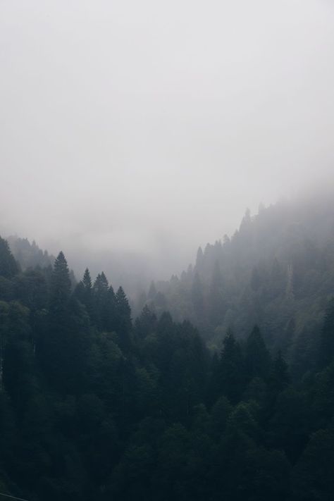 Foggy mountains with lush green trees Relaxing Meditation, Edge Of The Universe, Mountain Aesthetic, Foggy Weather, Best Nature Images, Foggy Mountains, Foggy Forest, Mountain Wallpaper, Earthy Scent