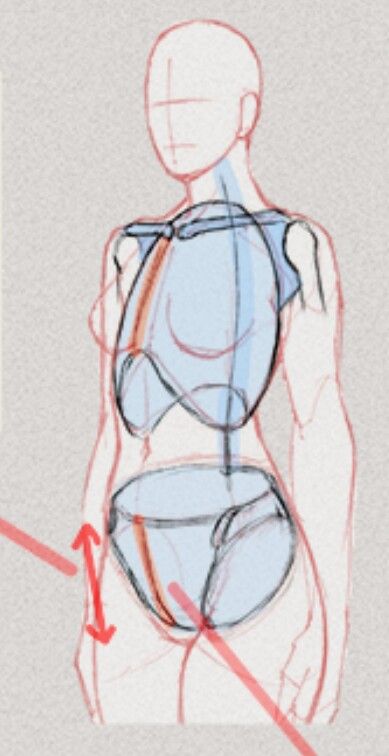 Women Chest Drawing Reference, Torso Drawing Reference Female, How To Draw Shoulders Female, Anime Female Anatomy Drawing, Draw Torso Female, How To Draw Torso Female, Torso Reference Female, Bust Up Reference, Human Anatomy Art Sketches