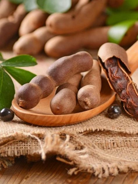 Tamarind Fruit, Tamarind Juice, Bonsai Seeds, Asam Jawa, Tamarind Paste, Tartaric Acid, Fruit Photography, Fruit Seeds, Tamarindo