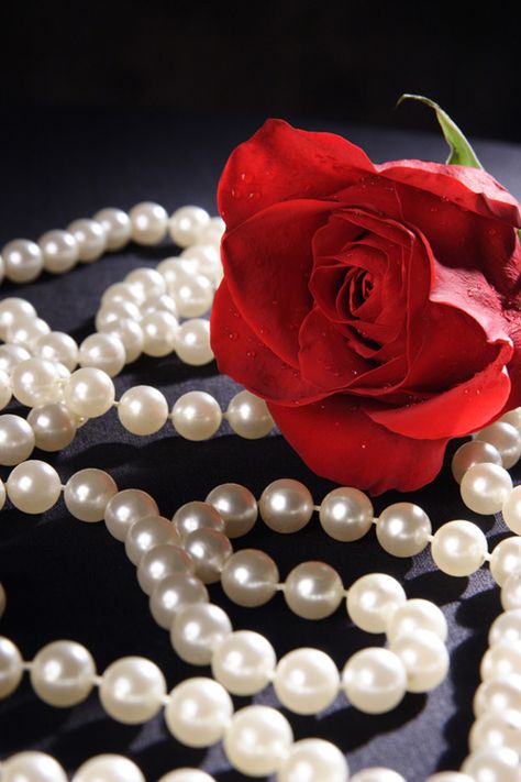 For her tears are like pearls,  And her heart as soft and fragrant as a rose!  ™ Raindrops And Roses, Single Red Rose, Mother Love, Pearl And Lace, Girls Necklaces, Black White Red, Be My Valentine, Red Rose, Beautiful Roses