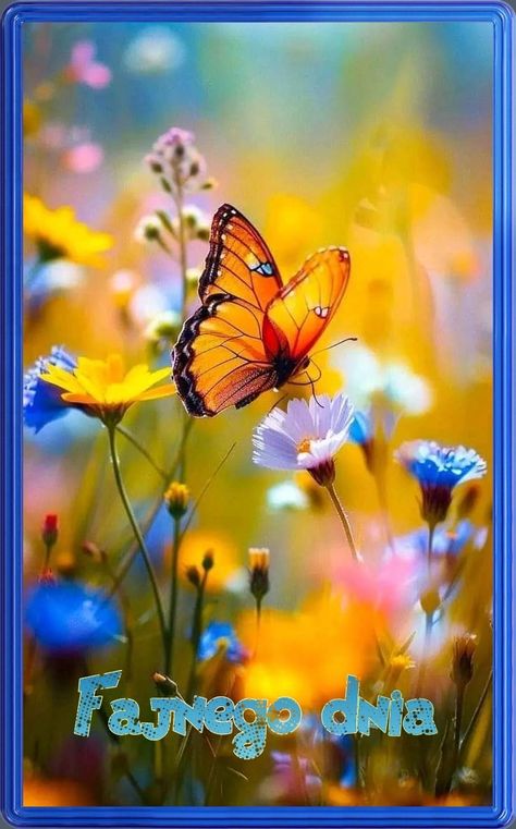 Flower Meadow Aesthetic, Butterfly In Nature, Butterflies On Flowers, Field Of Butterflies, Meadow Aesthetic, Wildflowers Aesthetic, Paint Calendar, Butterflies Aesthetic, Wildflowers And Butterflies