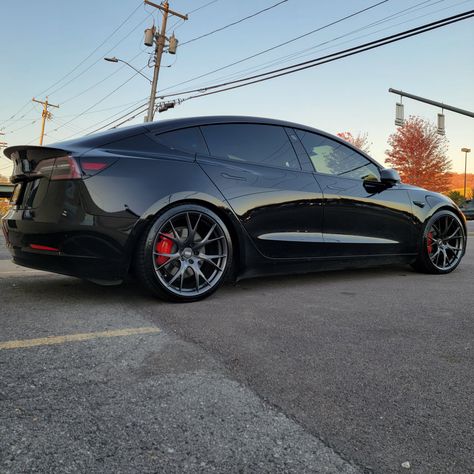 Custom Tesla, Auto Tune, Tesla Wheels, Tesla 3, Car Quotes, Pimped Out Cars, Car Tattoos, Tesla Car, Car Cleaning Hacks