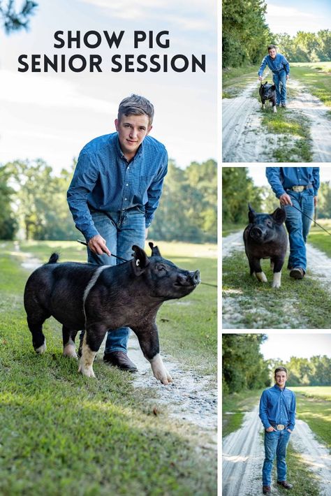 Show Pig Photography, Senior Pictures With Pigs, Livestock Senior Pictures, Ffa Senior Pictures, Barn Senior Pictures, Showing Pigs, Livestock Photography, Cattle Herd, Livestock Showing