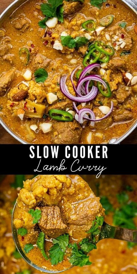 Lamb Curry Recipes Indian Slow Cooker, Low Carb Lamb Recipes, Diced Lamb Recipes Slow Cooker, Lamb Chops Slow Cooker Recipes, Healthy Slow Cooker Recipes Uk, Lamb Casserole Recipes Slow Cooker, Healthy Low Carb Slow Cooker Recipes, Slow Cooker Lamb Curry Recipes, Crockpot Lamb Stew