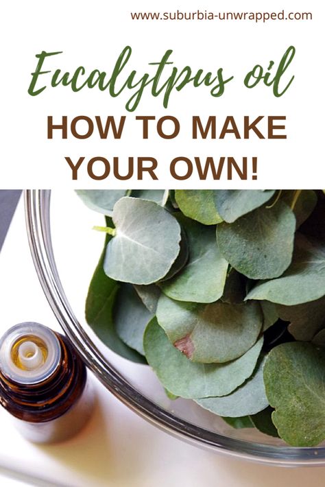 How To Make Oils From Herbs, Eucalyptus Oil Diy Homemade, Dry Eucalyptus How To, Things To Do With Dried Eucalyptus, Things To Do With Eucalyptus, Essential Oil Recipes Eucalyptus, Homemade Eucalyptus Oil, Eucalyptus Oil Recipes, Diy Eucalyptus