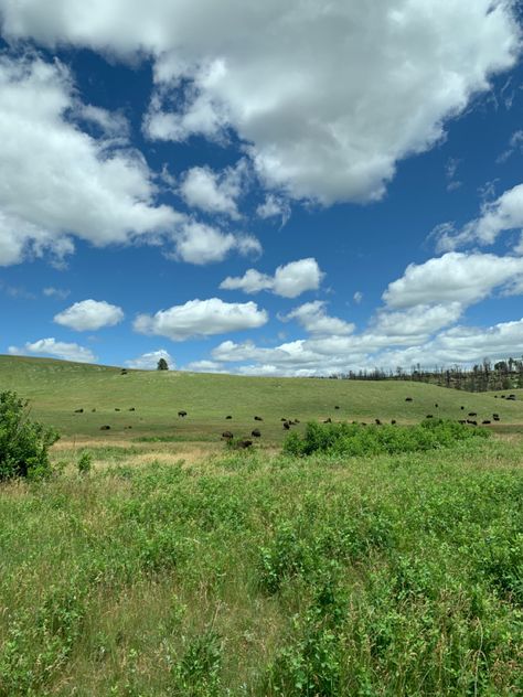 Mondstat Aesthetic, Plains Aesthetic, Open Meadow Aesthetic, Grassy Field Aesthetic, Plains Photography, Open Field Aesthetic, Magician Tattoo, Long Grass Field, House In A Field