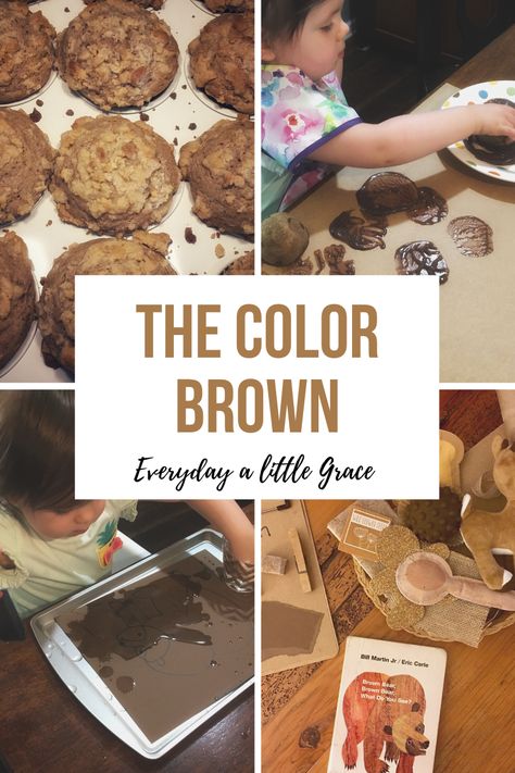 Tot School / Week 13: The Color Brown 🐻 – Everyday a Little Grace Color Activities For Toddlers, Preschool Color Activities, Brown Bear Brown Bear, Potato Stamp, Browns Game, Purple Crayon, Brown Baskets, Sensory Art, Preschool Colors