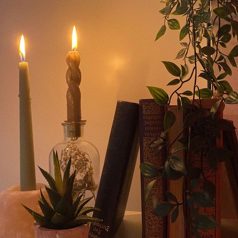 Coquette Dark Academia, Dark Academia Coquette Room, Dark Academia Plants, Dark Academia With Plants, Candle Light Aesthetic, Morgan Core Aesthetic, Dark Coquette Room, Candles Aesthetic Dark, Dark Academia Candles